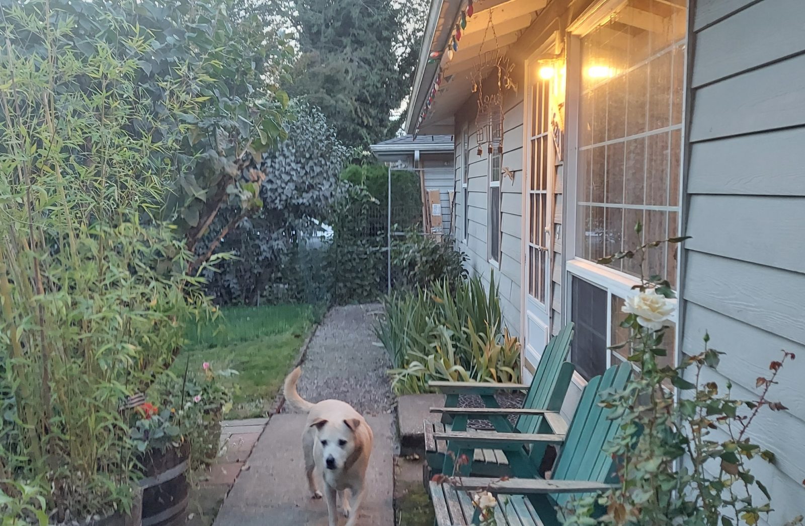 Auburn, WA Home