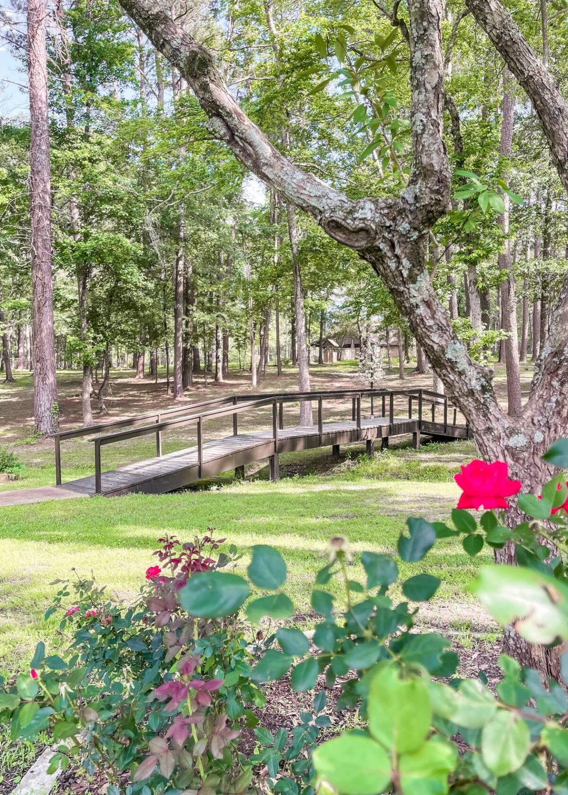 Carthage, TX The TreeHouse at Stillwood Estates