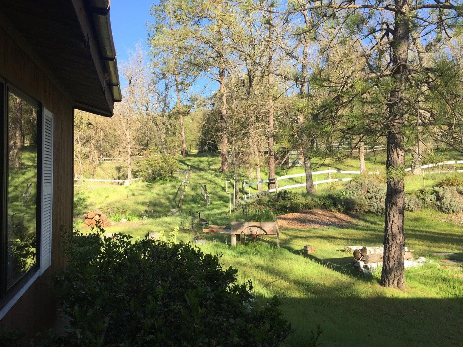 Mariposa, CA Cottage