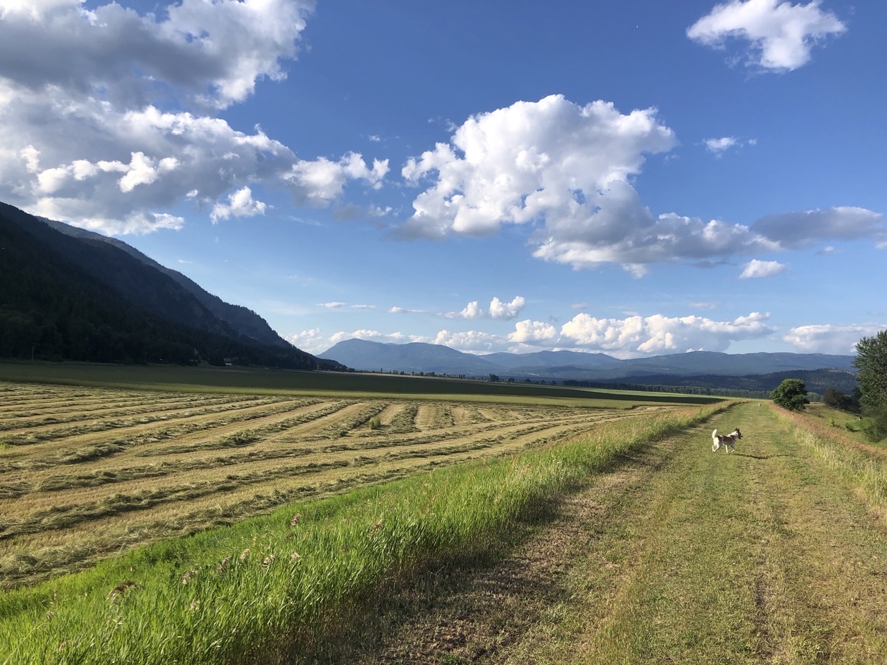 Bonners Ferry, ID Home
