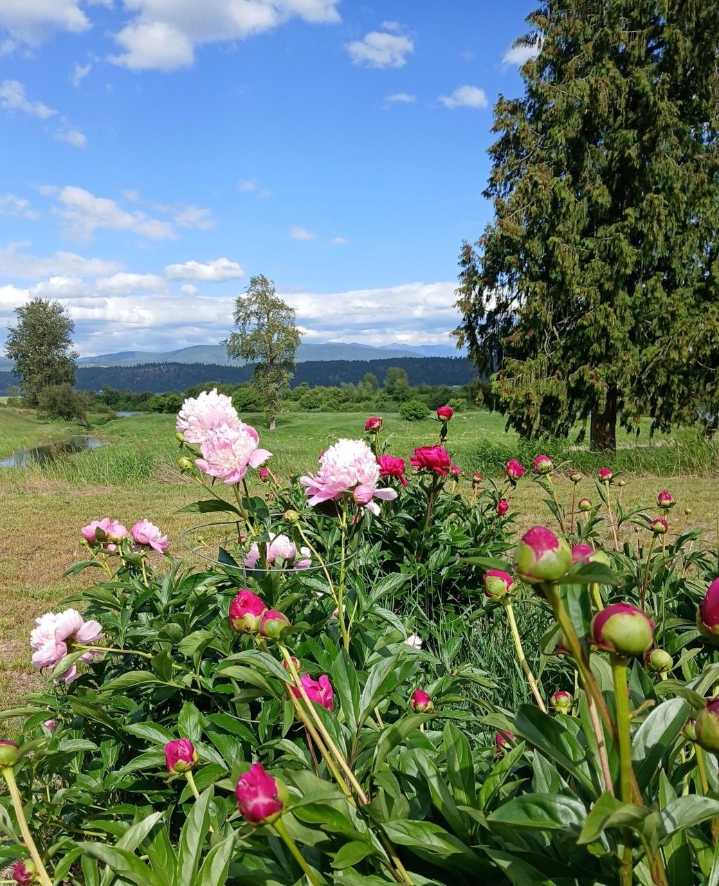 Bonners Ferry, ID Home