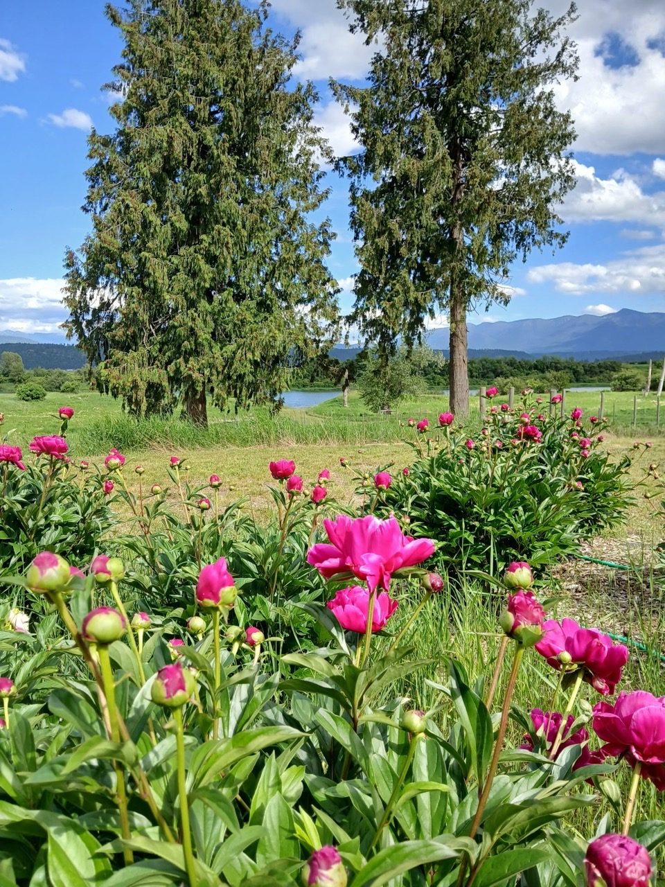 Bonners Ferry, ID Home