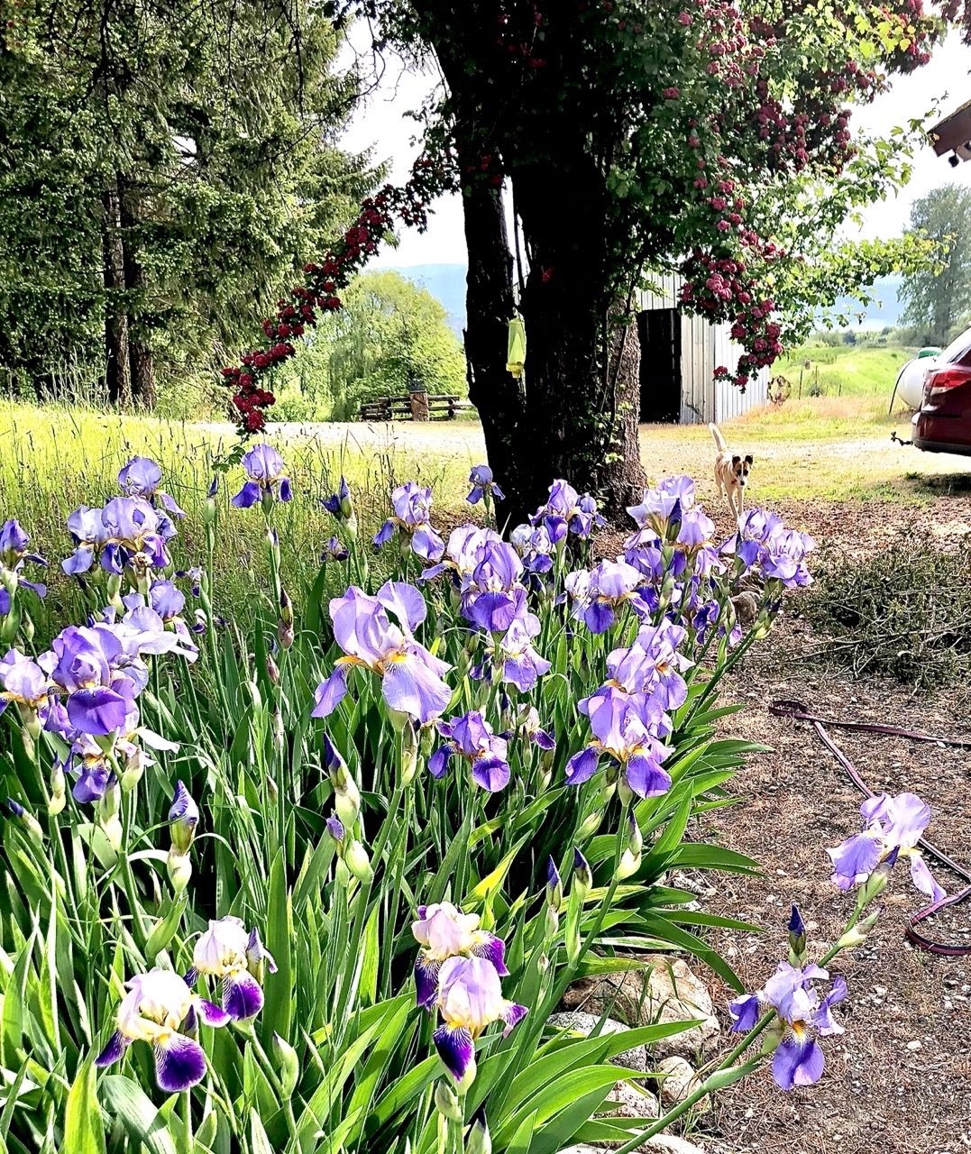 Bonners Ferry, ID Home