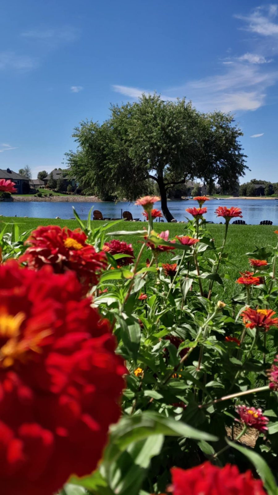 Tea, SD Lake Home