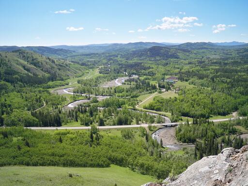 Alberta, Canada Blue Bronna Willow Creek