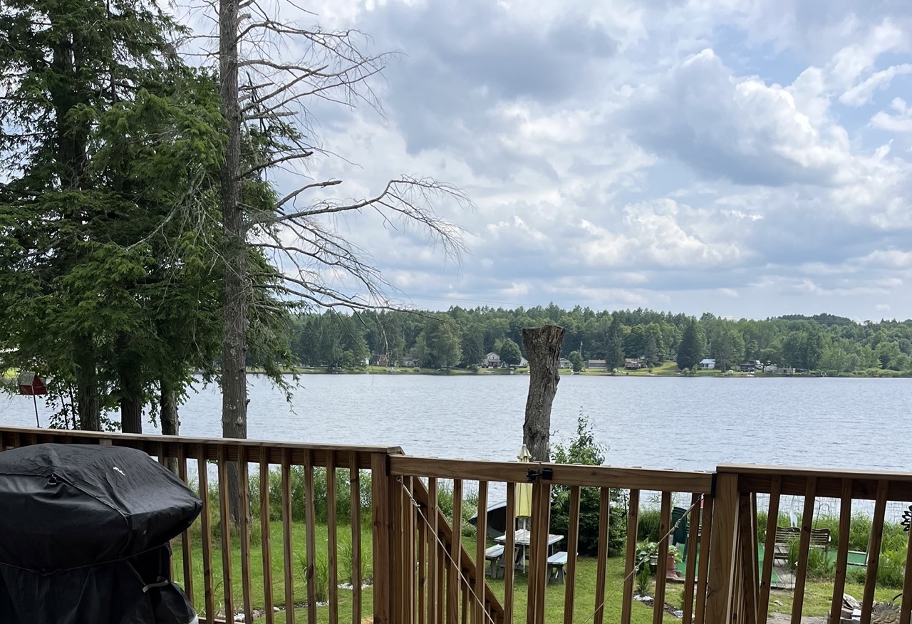 Willet, NY Lake Home