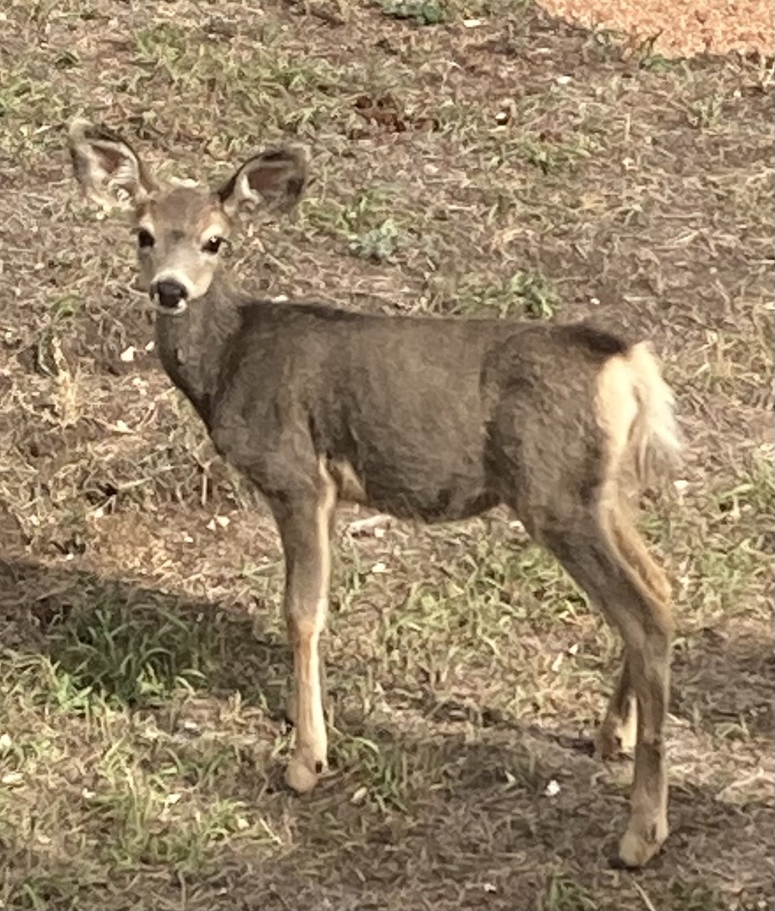 Bailey, CO Home