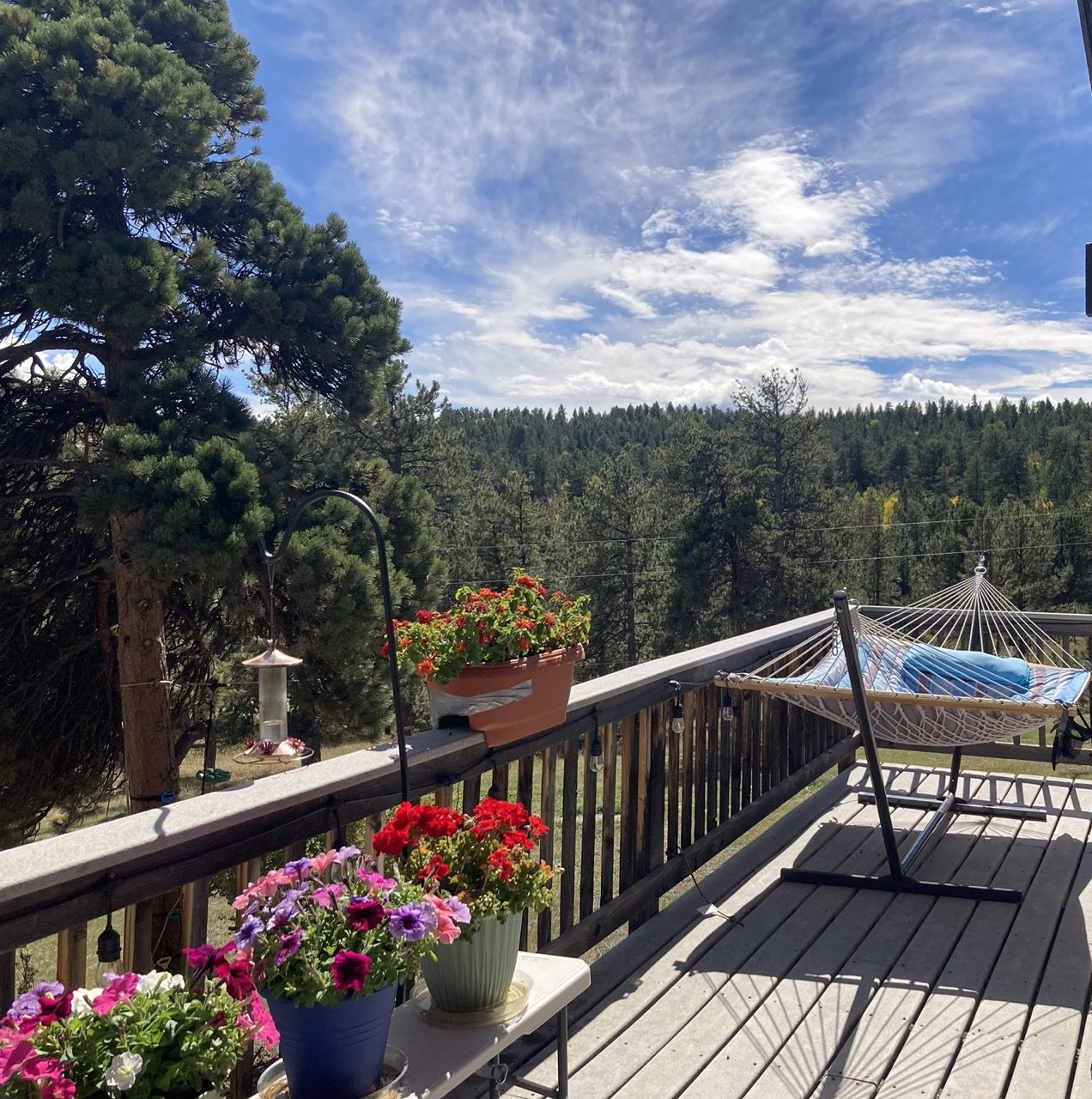 Bailey, CO Home