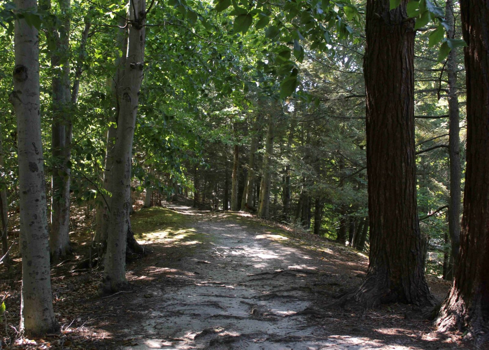 Norton Shores, MI Maranatha Bible and Missionary Camp